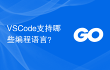 VSCode支持哪些编程语言？