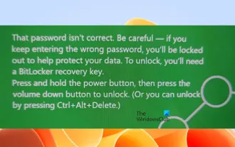 Falsches Passwort, Vorsicht BitLocker-Warnung