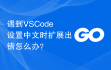 遇到VSCode设置中文时扩展出错怎么办？