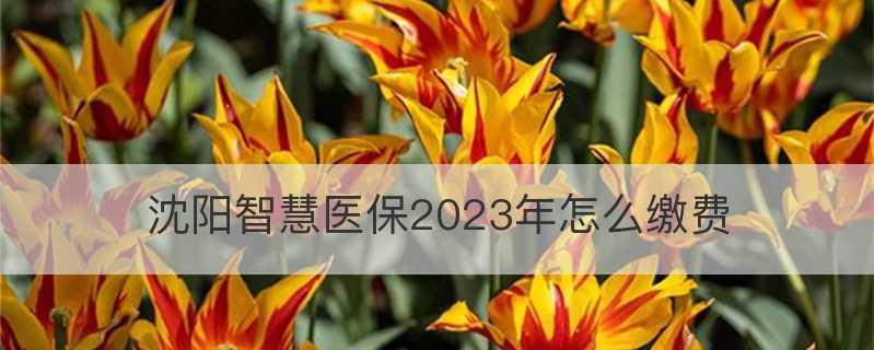 2024年公认打游戏最强的手机(探索行业之作)