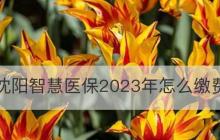 2024年公认打游戏最强的手机（探索行业之作）