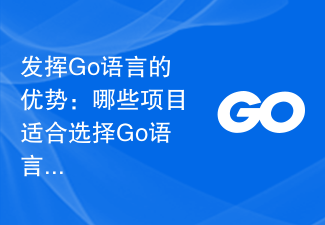 发挥Go语言的优势：哪些项目适合选择Go语言编写？
