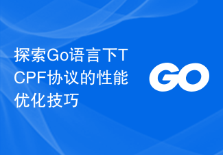 探索Go语言下TCPF协议的性能优化技巧