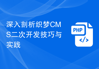深入剖析织梦CMS二次开发技巧与实践