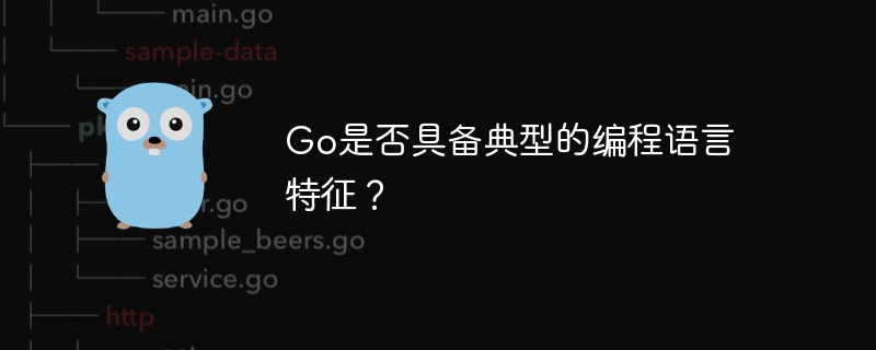 go是否具备典型的编程语言特征？