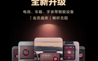 NetEase Cloud music TV, car, watch and other devices are merged with mobile vinyl VIP, no separate payment required