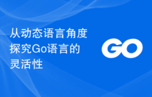 从动态语言角度探究Go语言的灵活性
