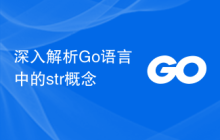 深入解析Go语言中的str概念