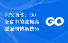 实战演练:Go语言中的数据类型强制转换技巧