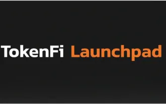 Après le lancement de TokenFi Launchpad, TokenFi évolue vers des objectifs plus élevés sur la piste de tokenisation RWA.