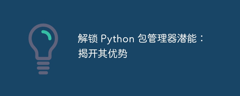解锁 python 包管理器潜能：揭开其优势