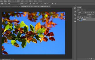 So schneiden Sie Bilder im PS_PS-Ausschnitt-Tutorial aus