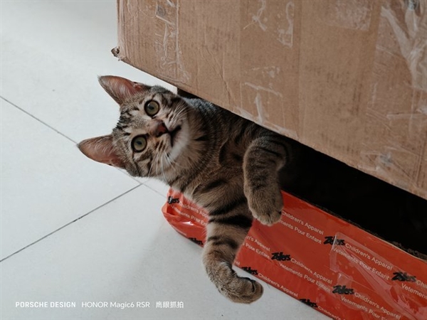 超高端旗舰设计标杆!荣耀Magic6 RSR保时捷设计上手