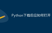 Python下载后应如何打开