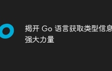 揭开 Go 语言获取类型信息的强大力量