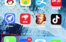 iphonex中设置呼叫转移的简单步骤