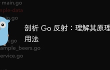 剖析 Go 反射:理解其原理和用法