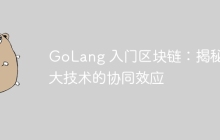 GoLang 入门区块链：揭秘两大技术的协同效应