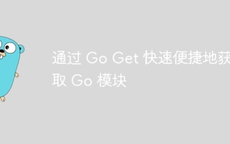 Go Get を使用して Go モジュールをすばやく簡単に入手します