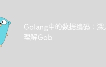 Golang中的数据编码:深入理解Gob