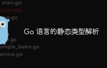 Go 语言的静态类型解析