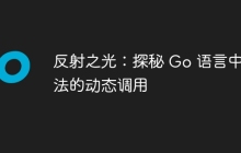 反射之光:探秘 Go 语言中方法的动态调用