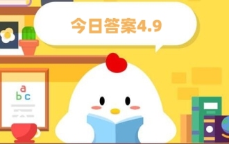 Ant Manor 4월 9일: 링난의 4대 유명한 과일은 리치, 바나나, 파파야,