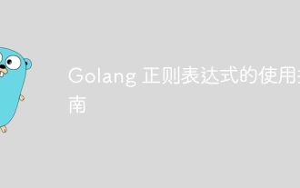 Golang 正则表达式的使用指南