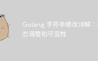 Detailed explanation of Golang string modification: dynamic adjustment and variability