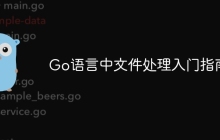 Go语言中文件处理入门指南