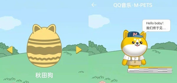 What does QQ music pet look like_Comparison of QQ music pet appearance