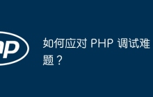 如何应对 PHP 调试难题?