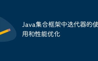 Die Verwendung und Leistungsoptimierung von Iteratoren im Java Collection Framework