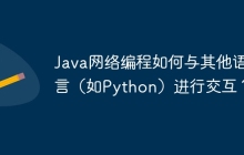 Java网络编程如何与其他语言（如Python）进行交互？