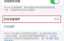 iOS 17.5开启iPhone失窃设备保护的方法步骤