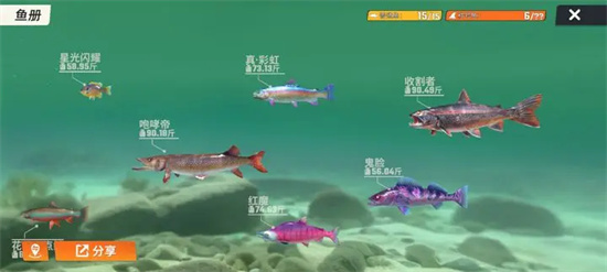 歡樂釣魚大師玩法心得策略分享