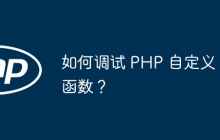 如何调试 PHP 自定义函数？