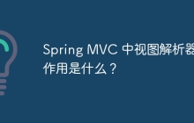 Spring MVC 中视图解析器的作用是什么？