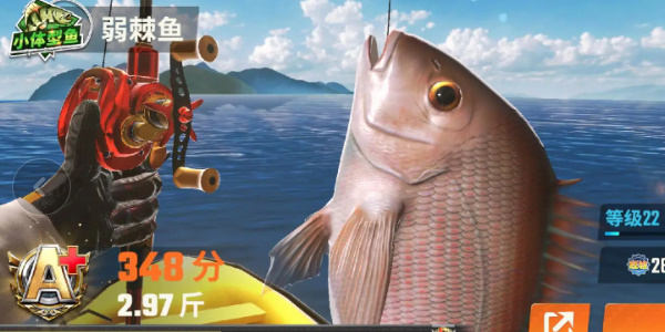 《歡樂釣魚大師》魚類圖鑑大全