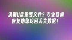 USBフラッシュドライブから重要なファイルを誤って削除してしまいましたか?プロフェッショナルなデータ復元で、失われたデータを復元できます。