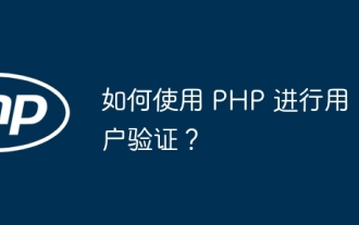 如何使用 PHP 进行用户验证?