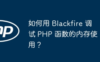 How to debug memory usage of PHP functions with Blackfire?