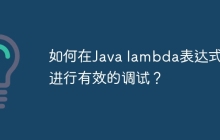 如何在Java lambda表达式中进行有效的调试？