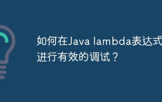 Bagaimana untuk melakukan penyahpepijatan yang cekap dalam ungkapan lambda Java?