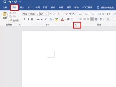 word怎么一直保持同样的字体_word一直保持同样的字体方法