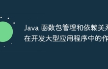 Java 函数包管理和依赖关系在开发大型应用程序中的作用