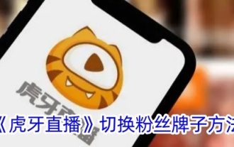 How to switch fan brands in 'Huya Live'