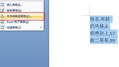 Wordテキストテーブル相互変換の詳細説明