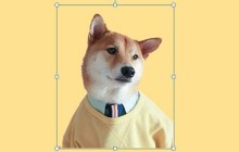 PPT叠影效果怎么制作_教你一招生成高大上封面