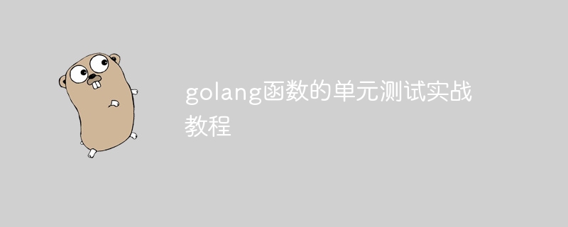 golang函數的單元測試實戰教程